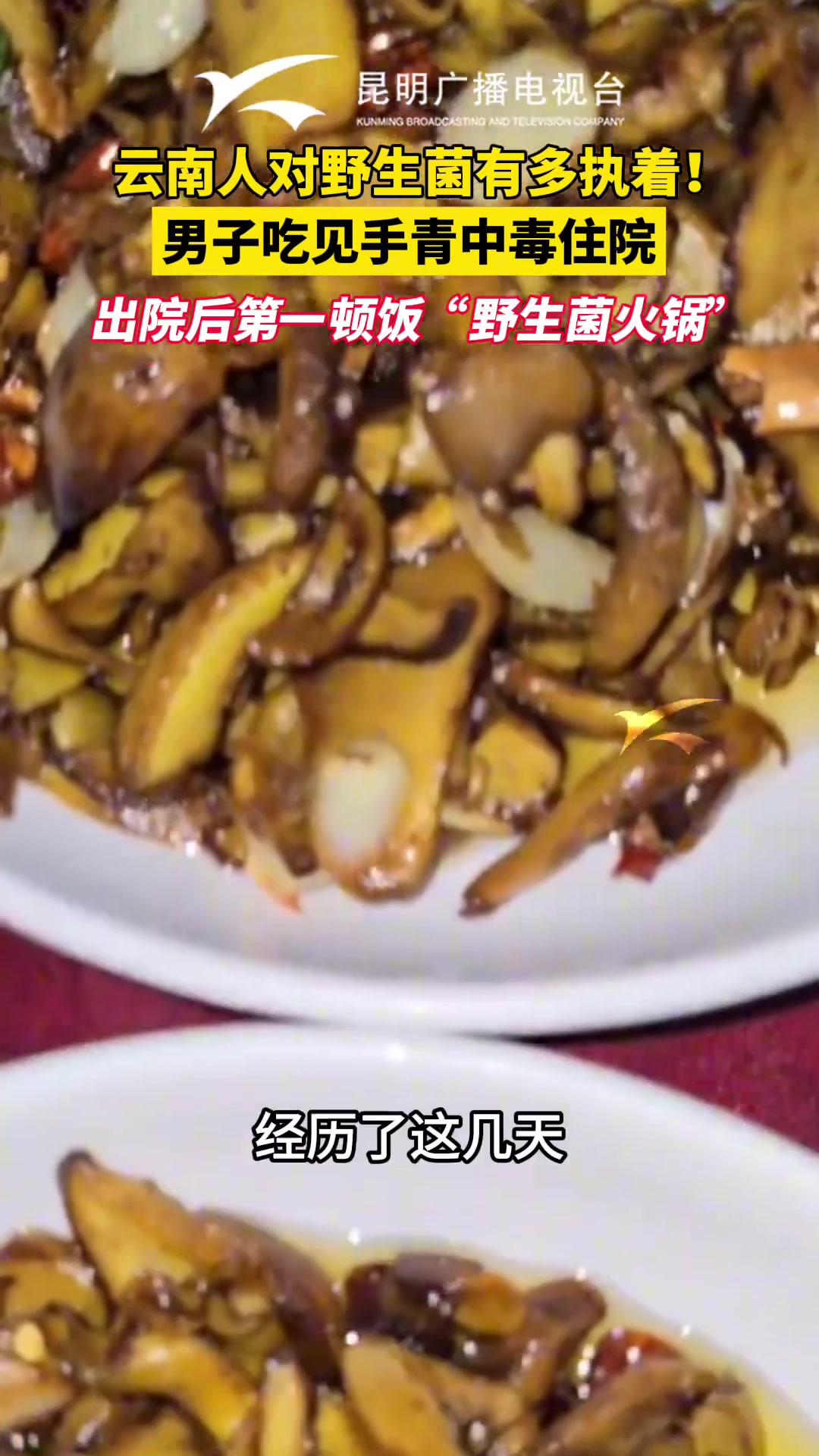男子吃见手青中毒住院，出院后第一顿饭“野生菌火锅”