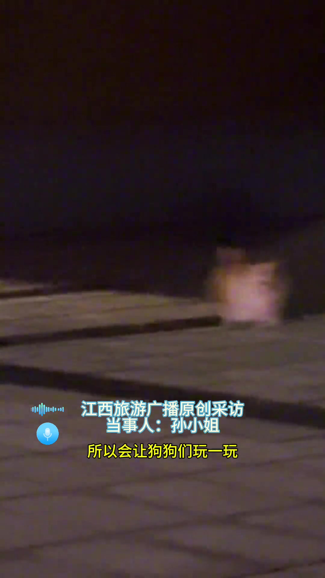 主人带柯基出门遛弯，不料被萨摩耶用作跨栏练习