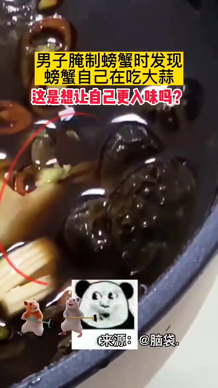 腌制时男子发现螃蟹在吃大蒜 好懂事的螃蟹