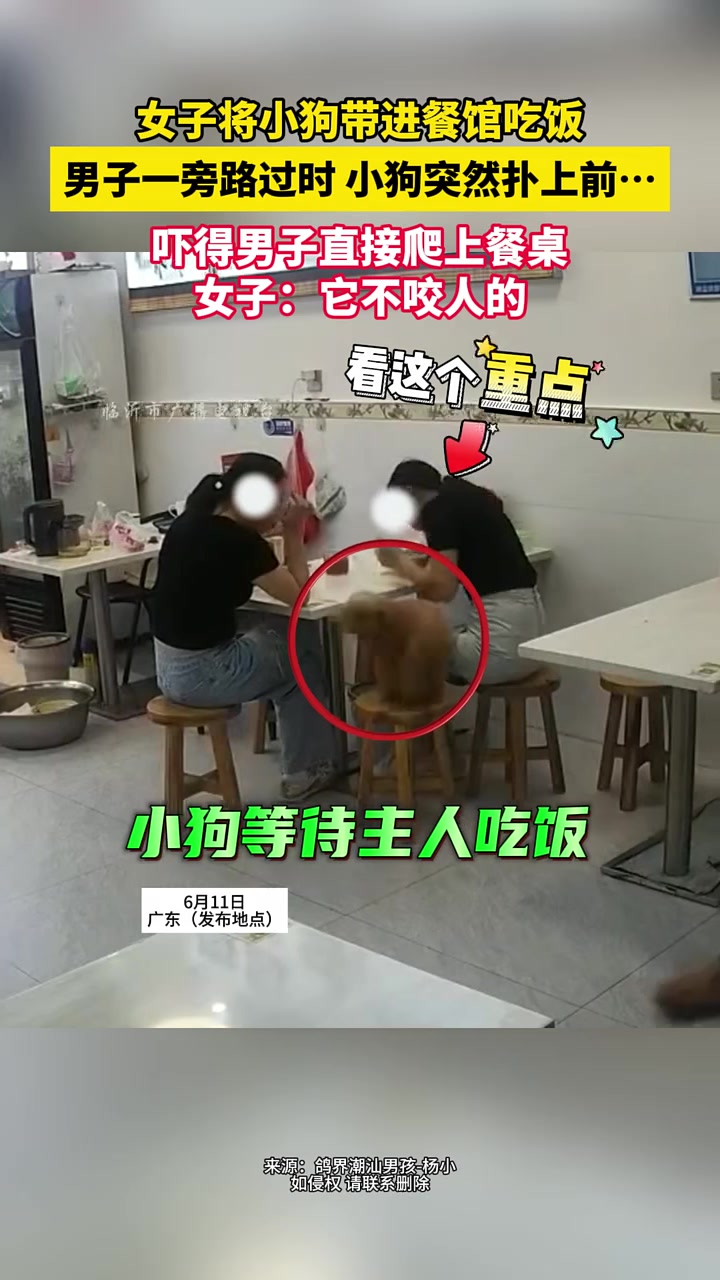 都这样了，还说它不咬人的？!