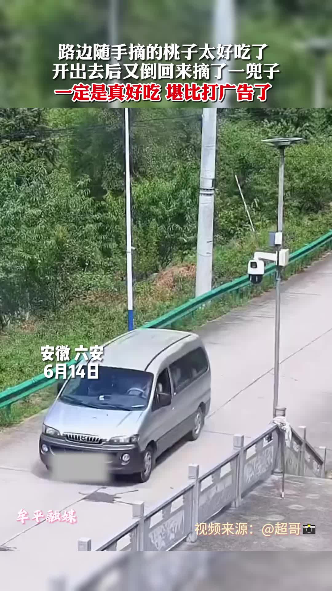 第一次倒车是想尝尝 第二次倒车是想多尝尝…