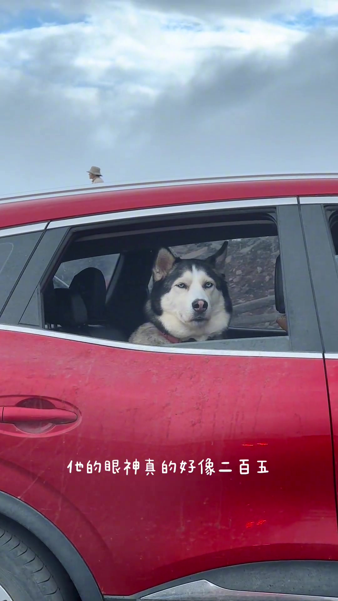 二哈：你以为你很聪明？