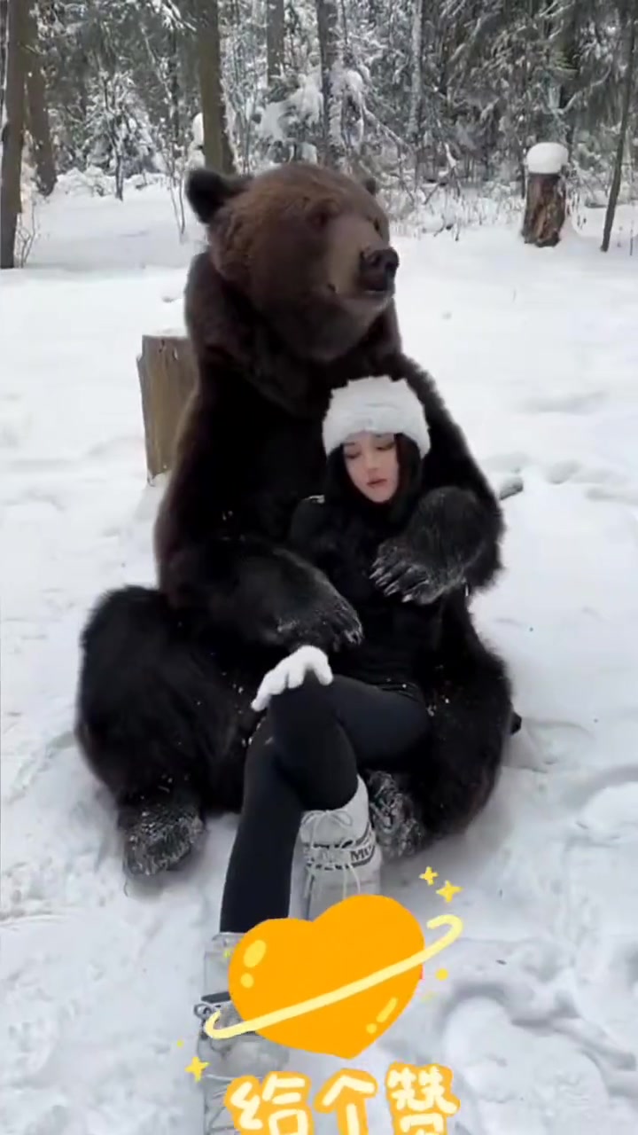 太大胆了 俄罗斯美女与熊亲密合影