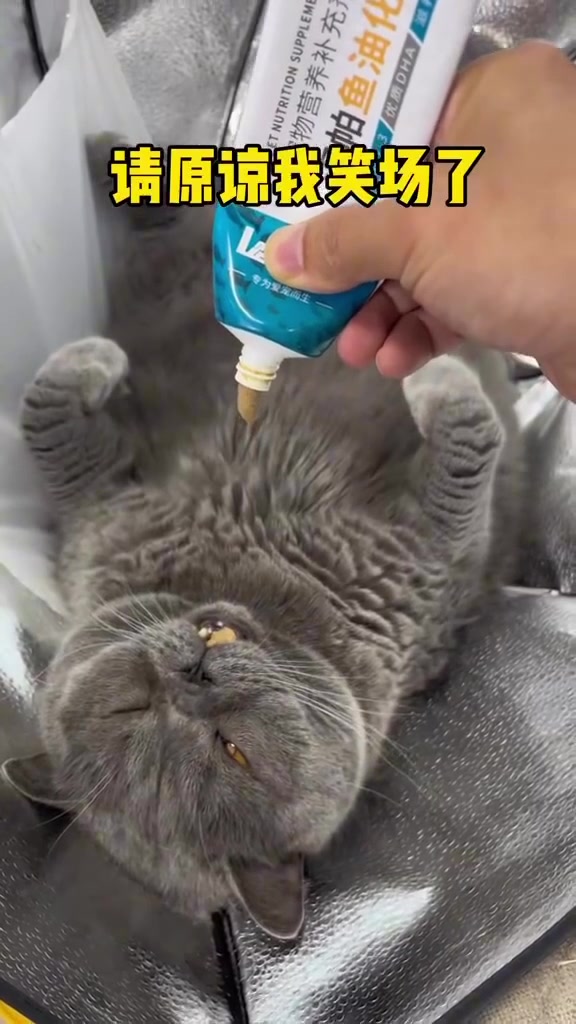 强行开机了！