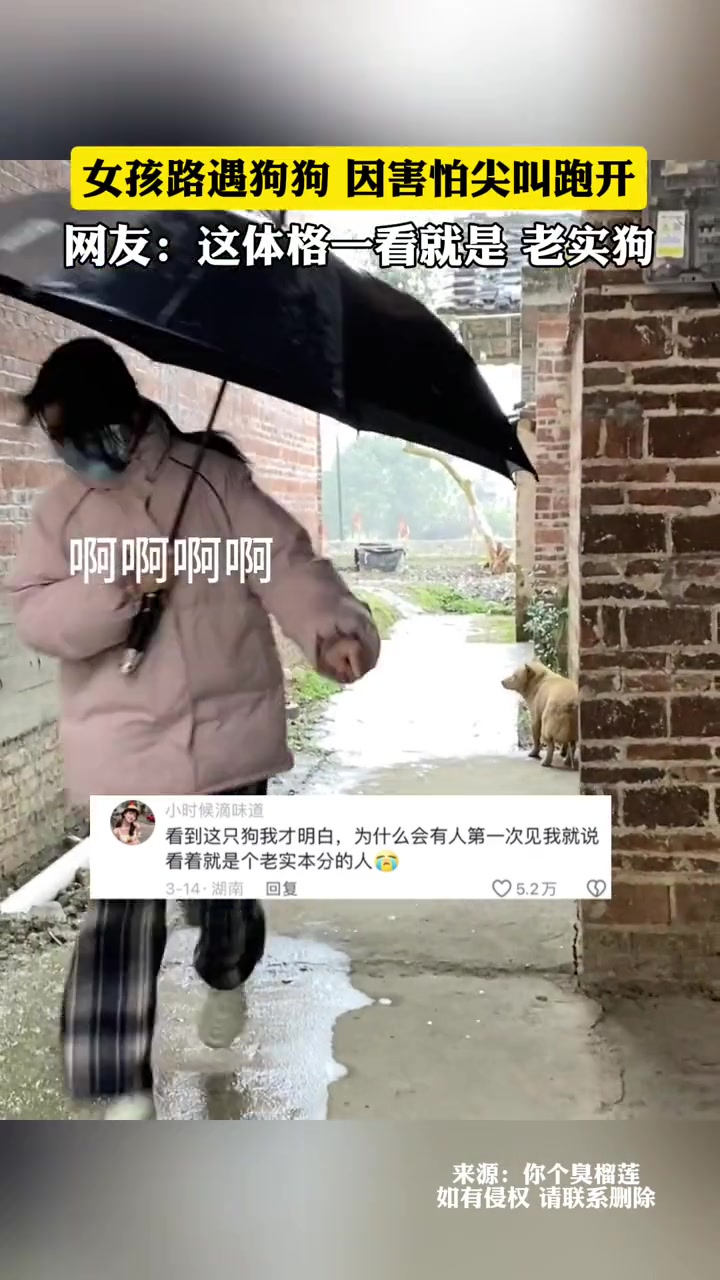 我是什么很吓人的敦敦吗？
