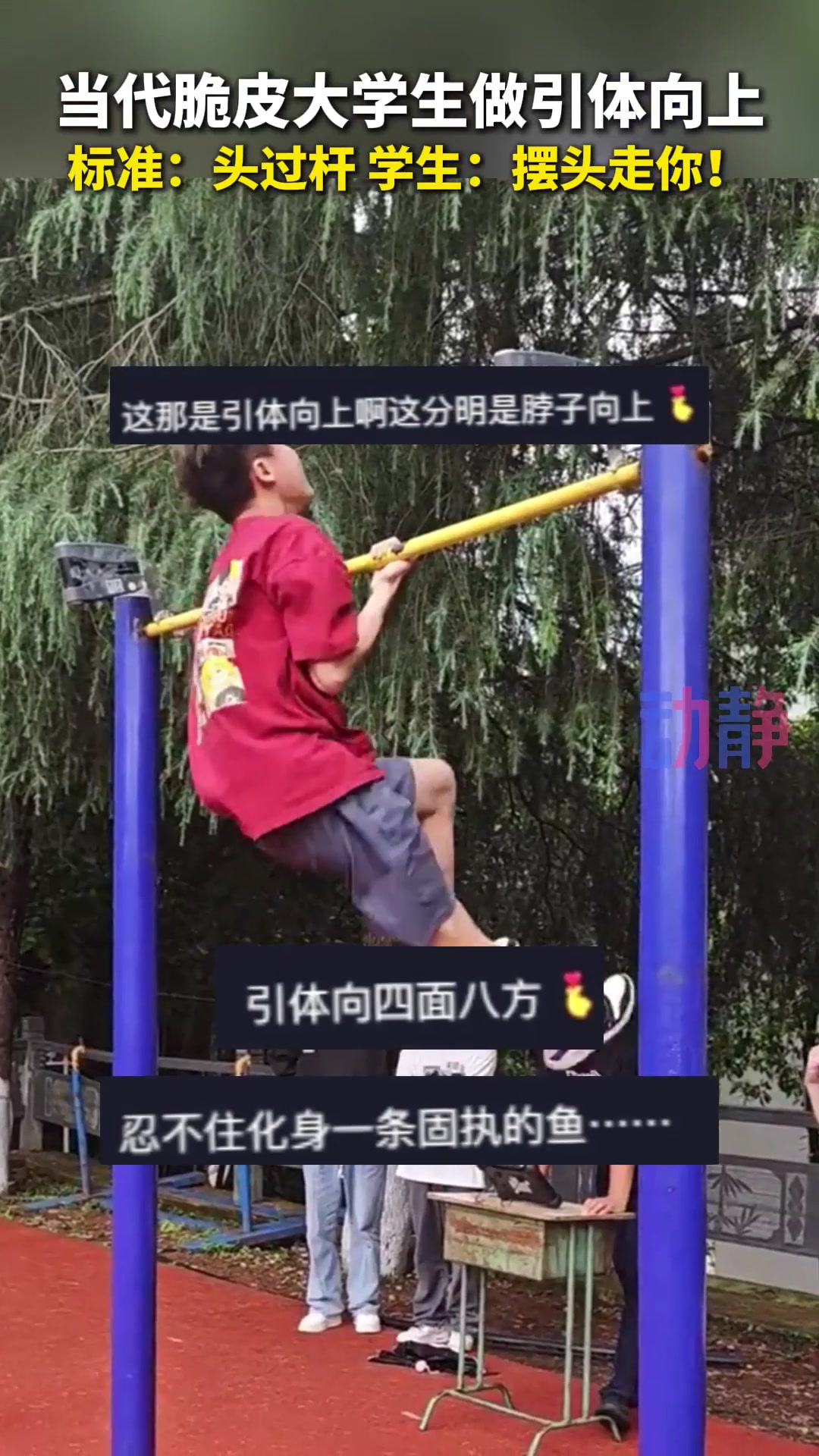 引体向上？引脖向上！吧友上学的时候可以做几个？