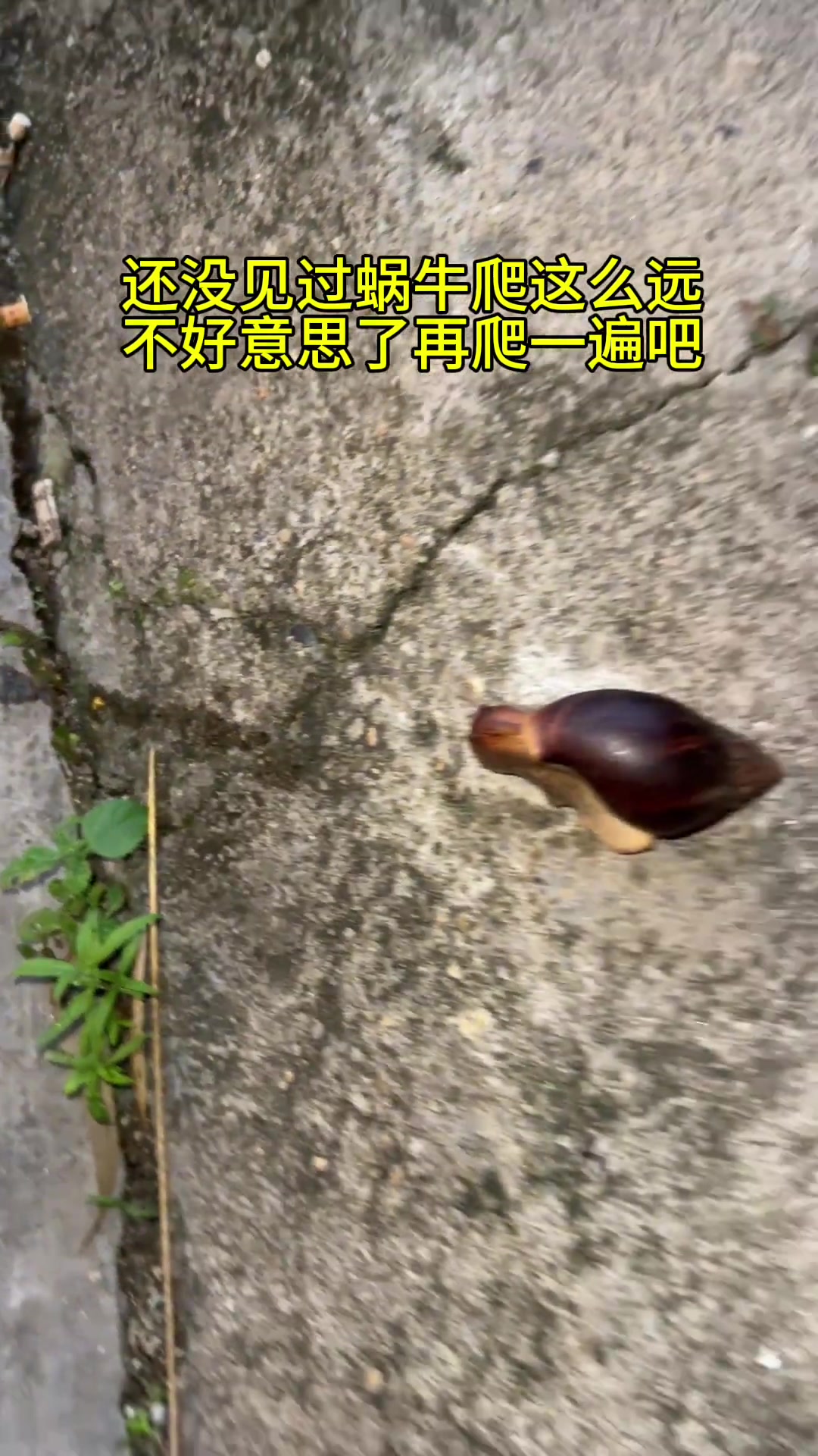 我要一步一步往上爬，在最高点乘着手掌往后飞！