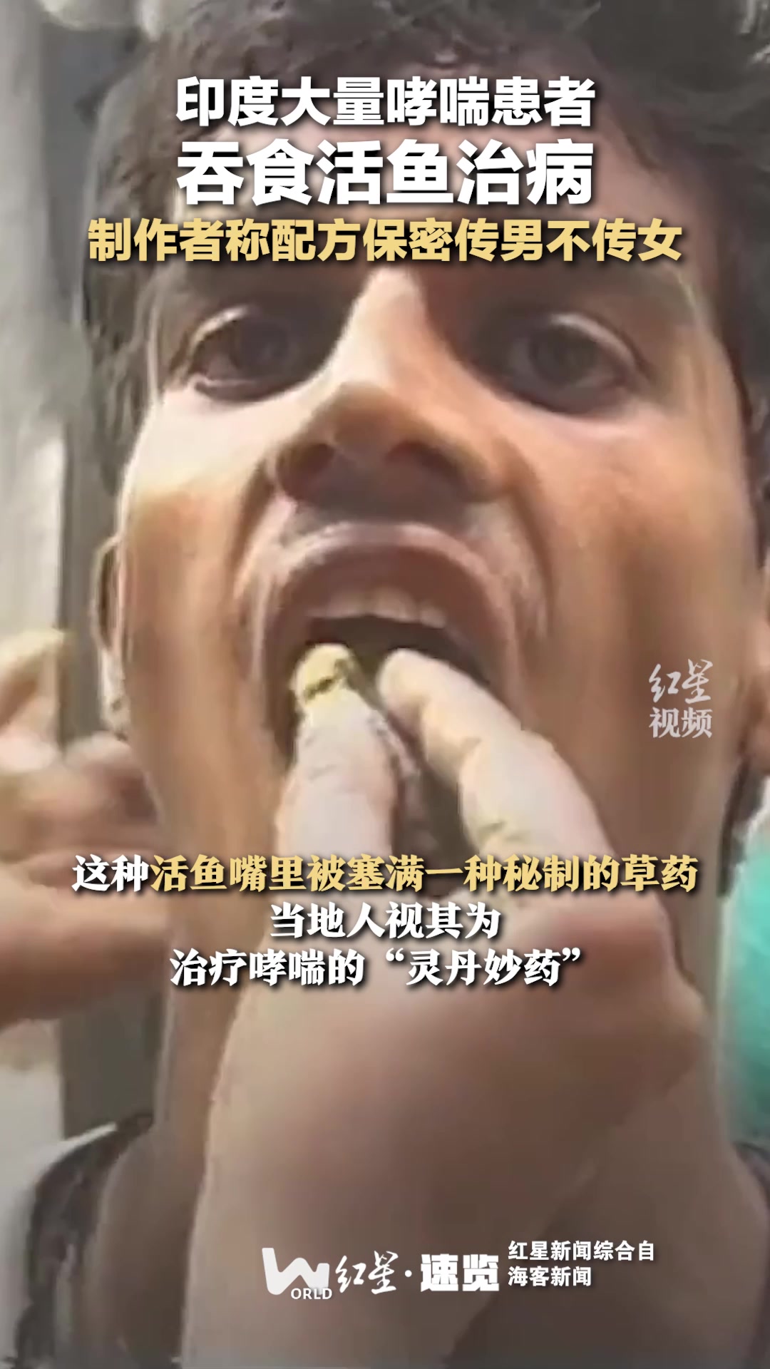 印度大量哮喘患者吞食活鱼治病！这真能治病吗？