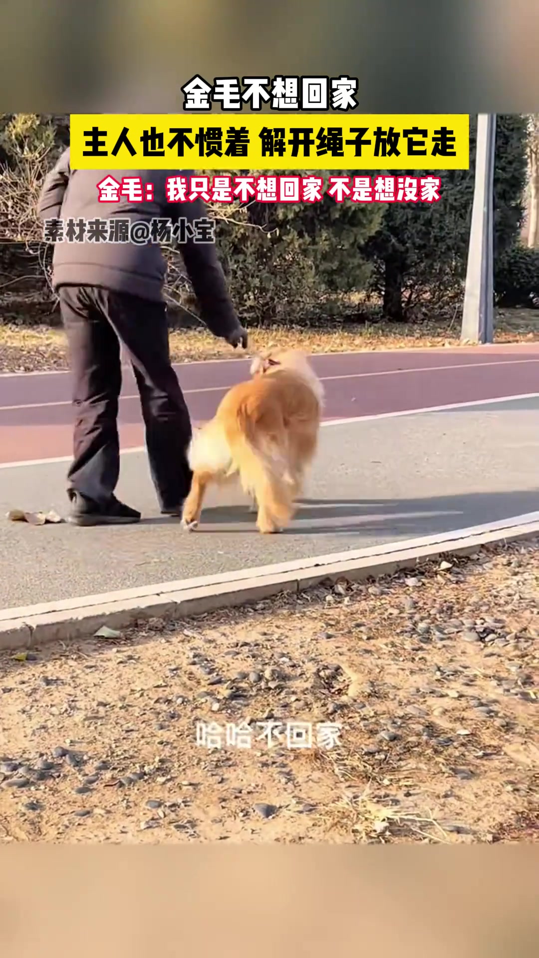 我只是不想回家，不是回不去这个家！