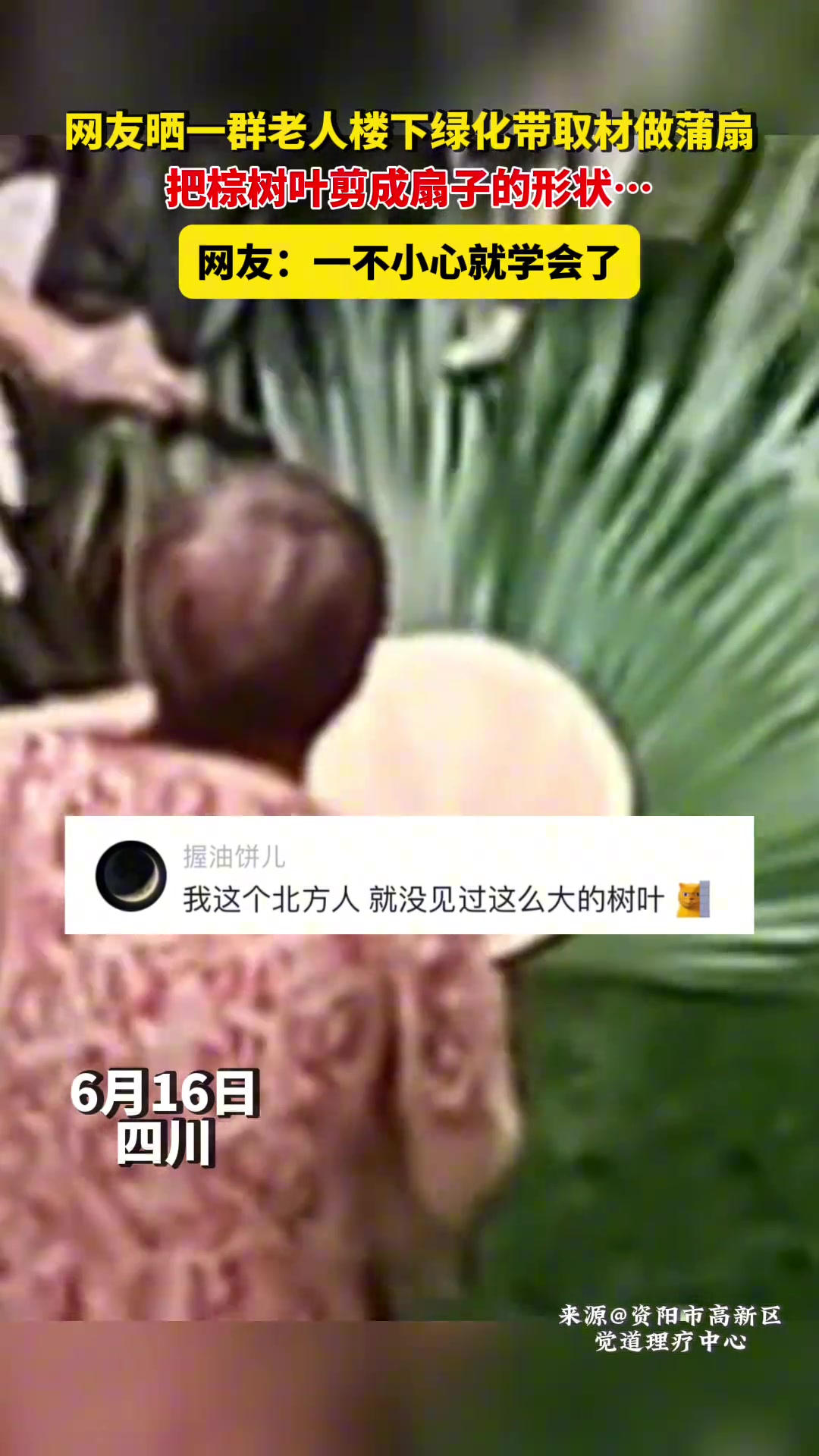 原来这样的蒲扇经济实用 一不小心就学会了