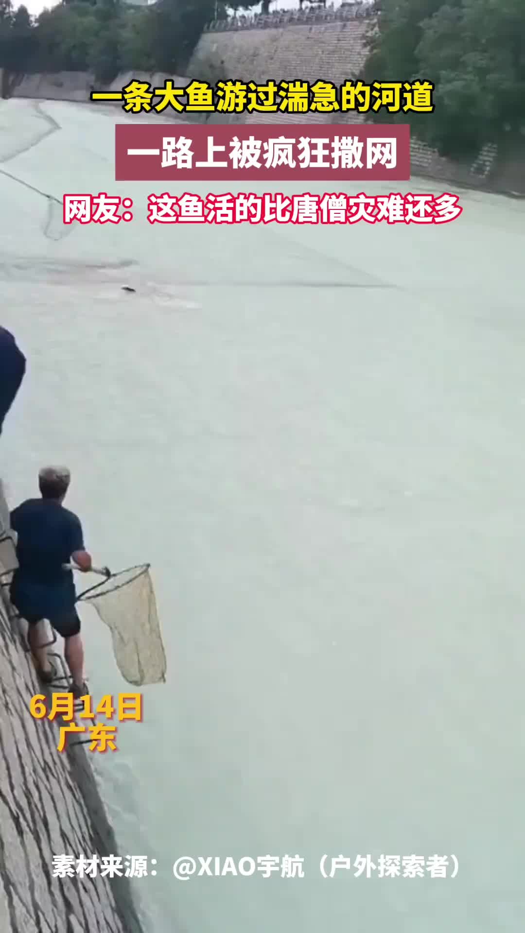 这鱼活得比唐僧灾难还多！