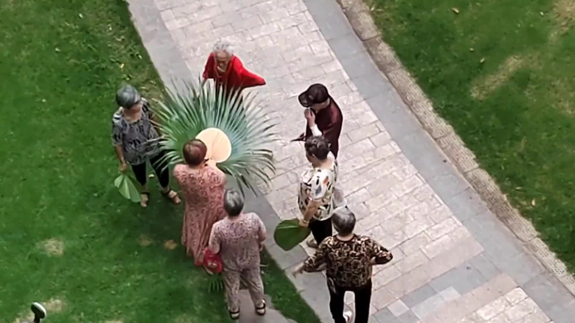 阿姨们真智慧，原来蒲扇是这么来的！