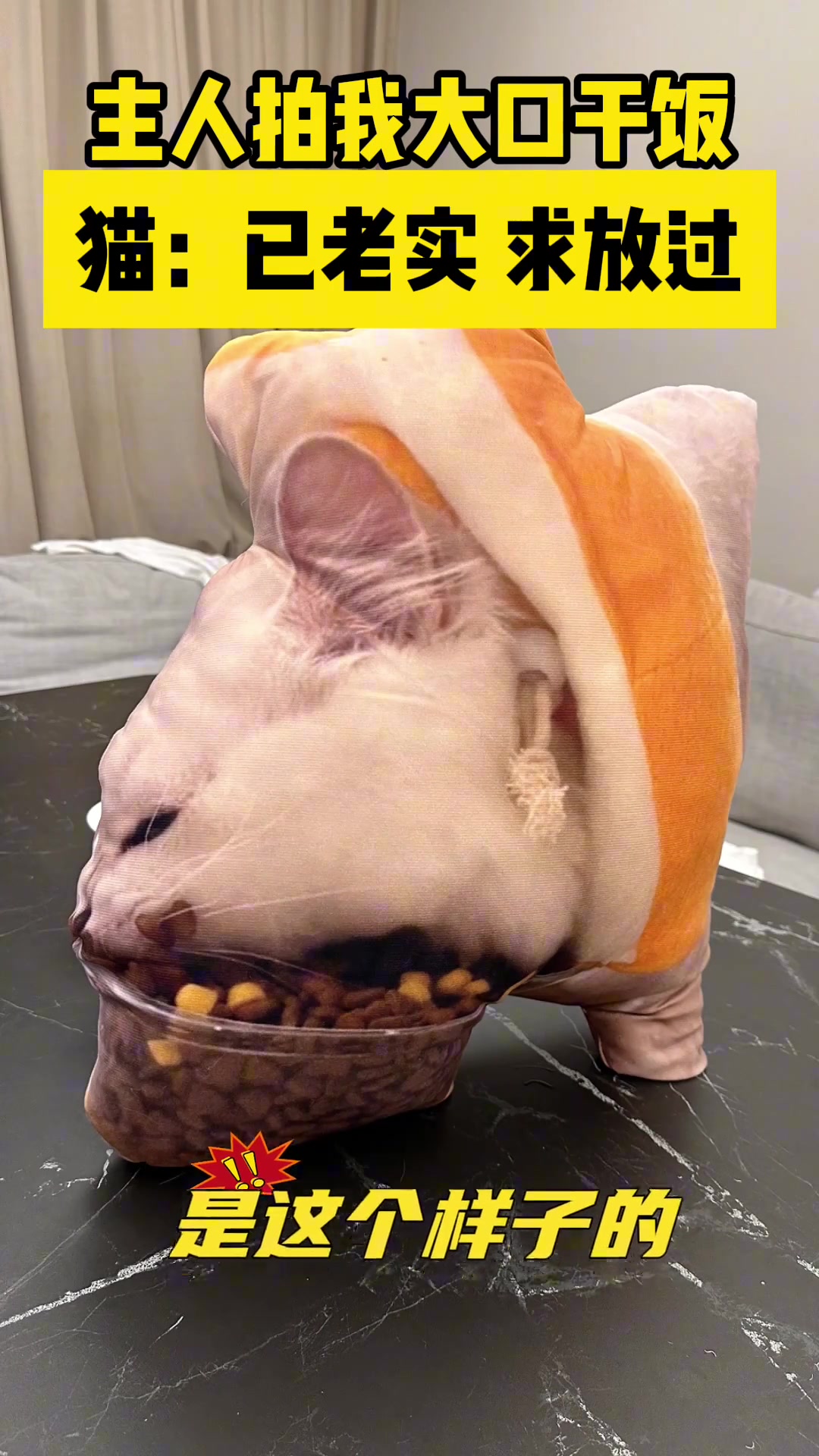 猫猫大口干饭被拍下做成抱枕，猫猫：我已老实，求放过