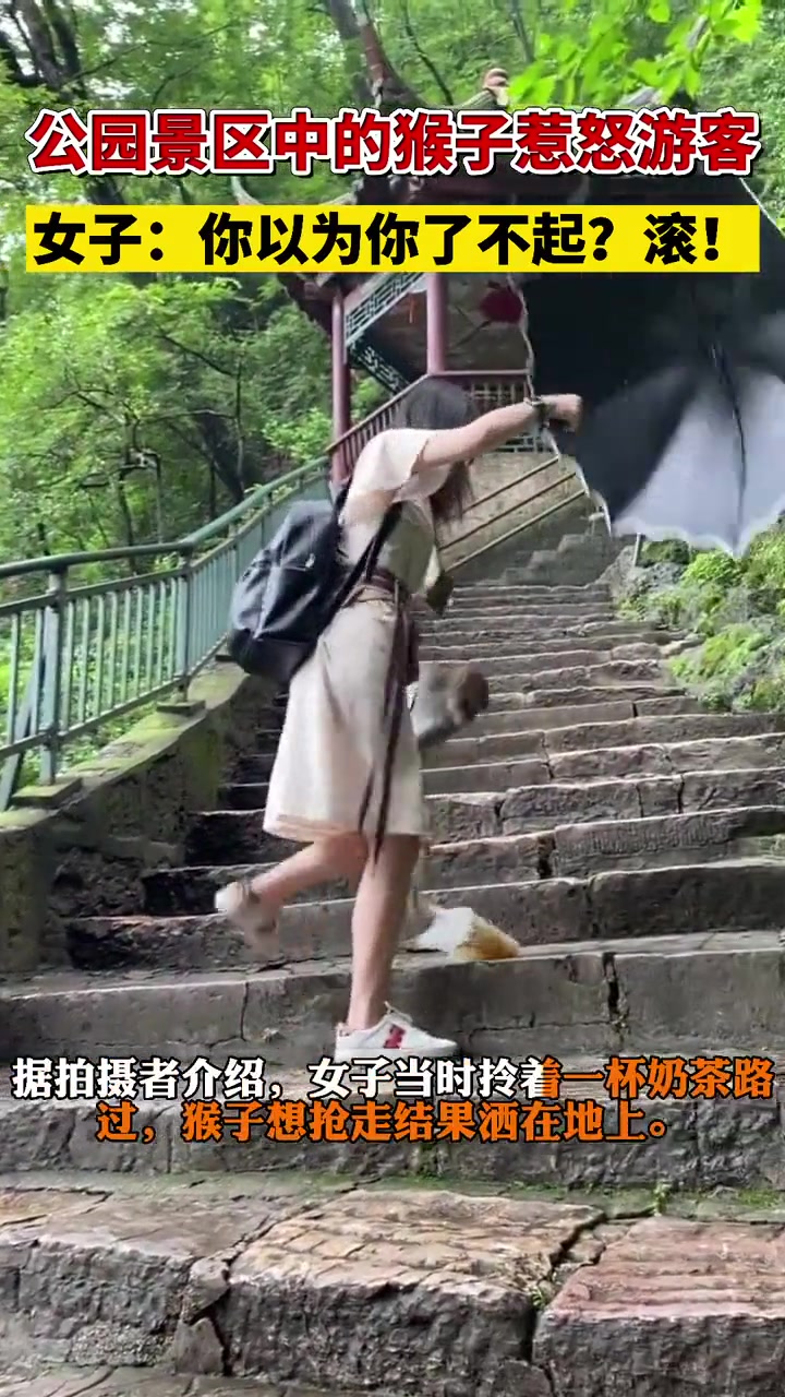 大家应该知道，老虎是百兽之王！而母老虎更是重量级！
