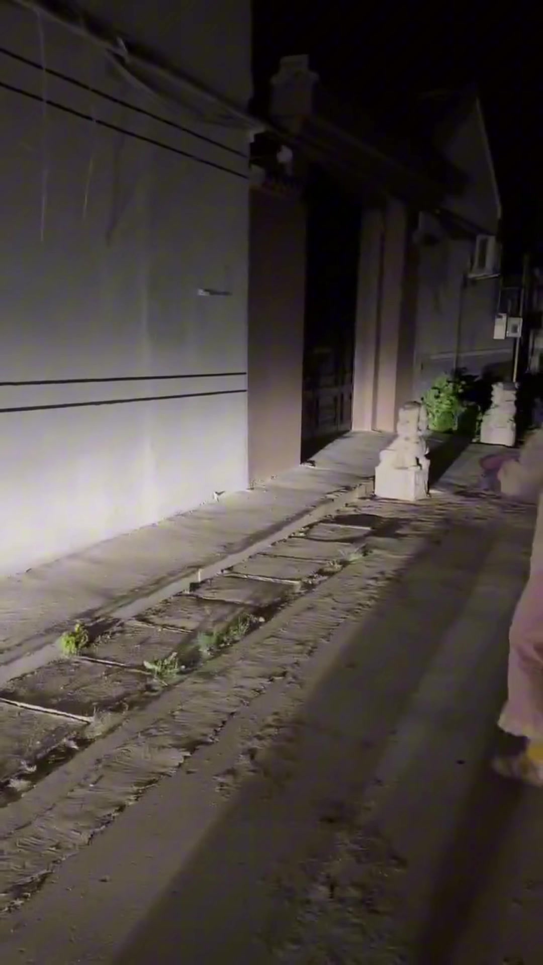 这是谁不讲理？女子讨债，一怒之下往白墙上泼黑水