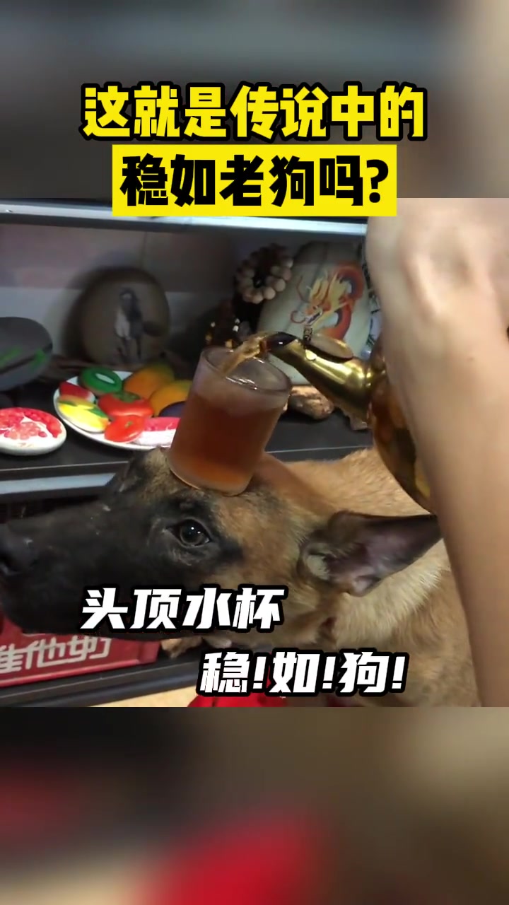 狗子:上回他喝多了倒的开水，你说敢动吗？
