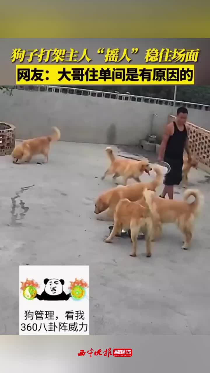 关门！放黑豹！
