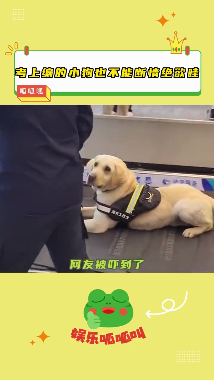 警犬心想我只是考上了编制，又不是戒了吃货本能