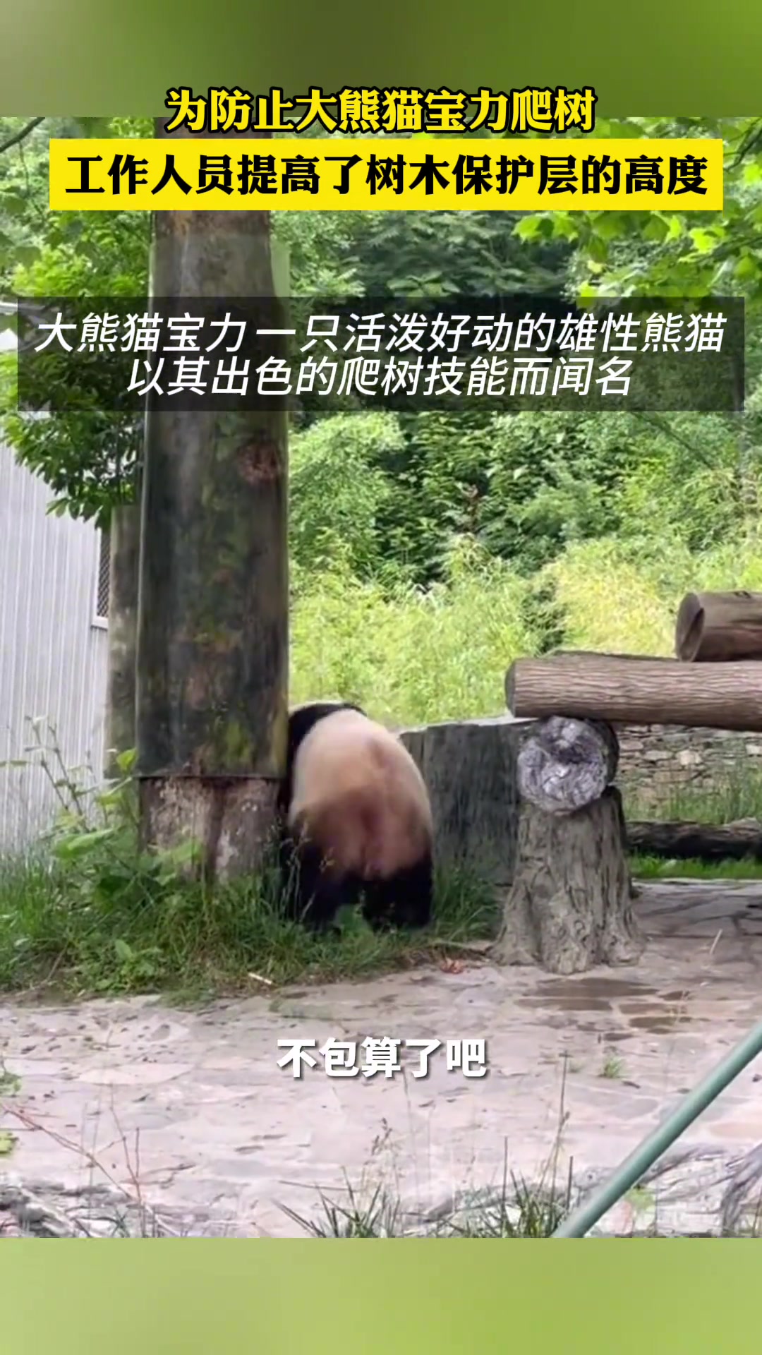 加高应该是为了安全考虑吧！吧友怎么看？