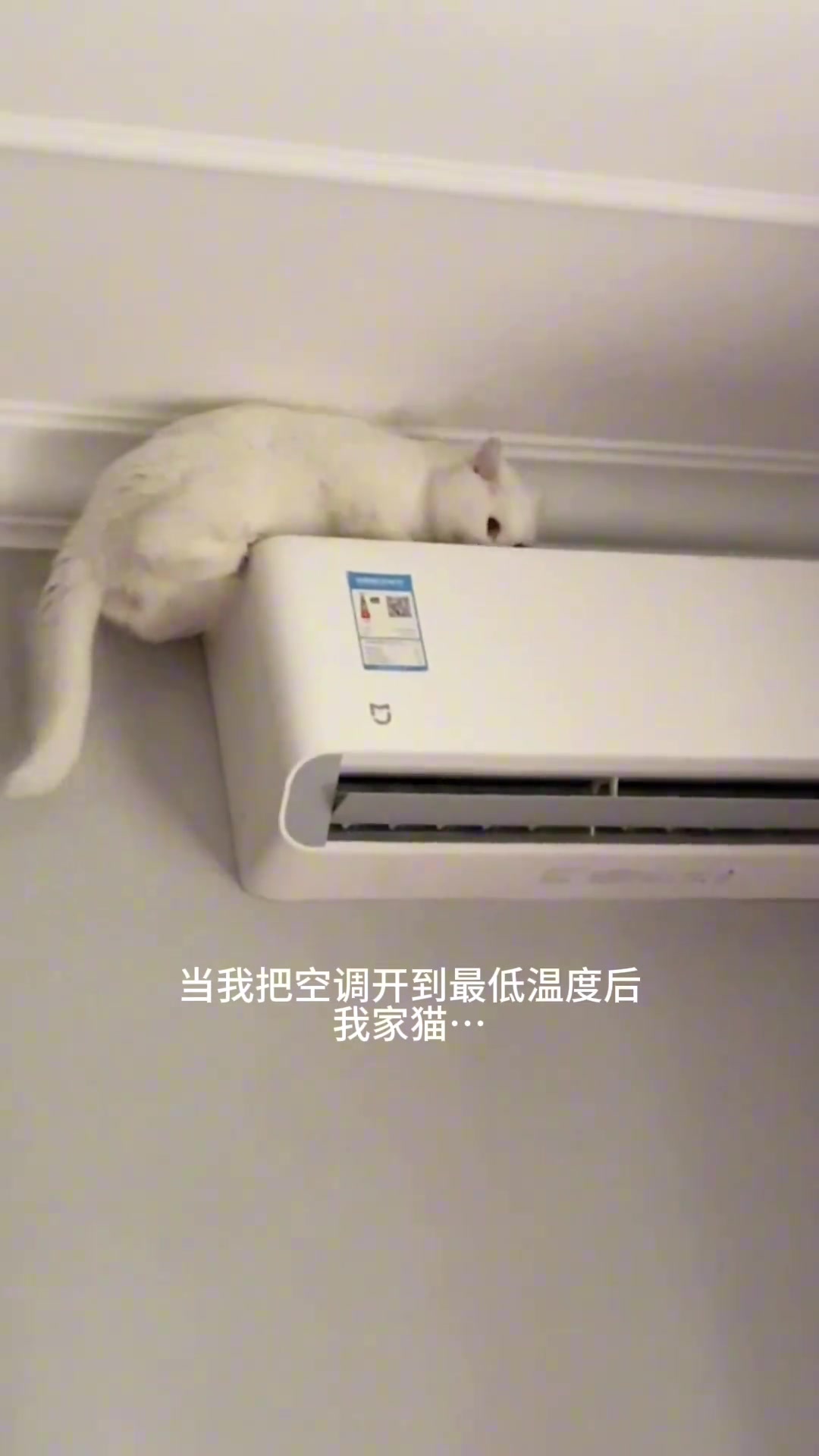 师傅，你是做什么工作的？