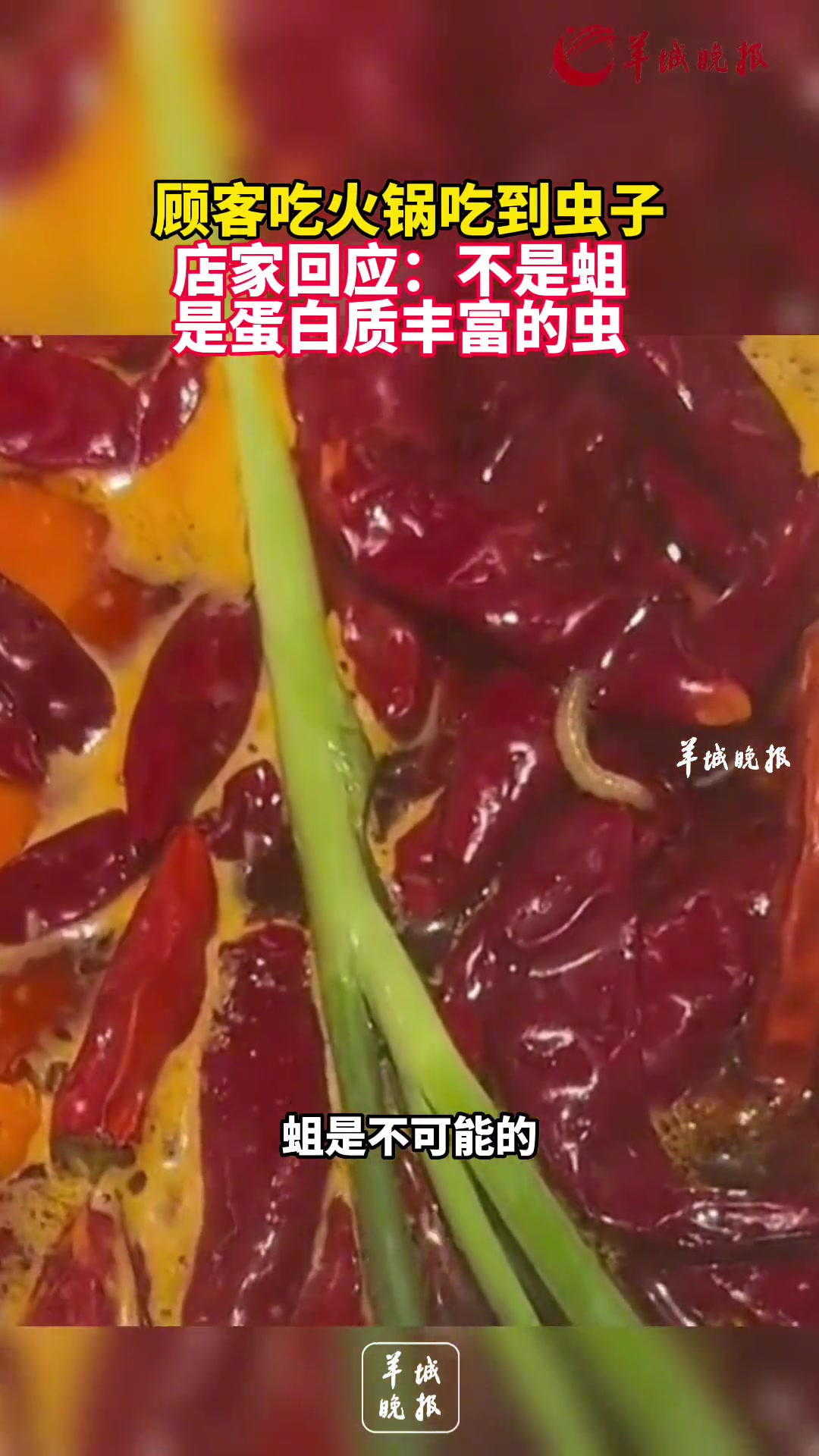 顾客火锅店吃到虫子 店家：不是蛆 是蛋白质丰富的虫