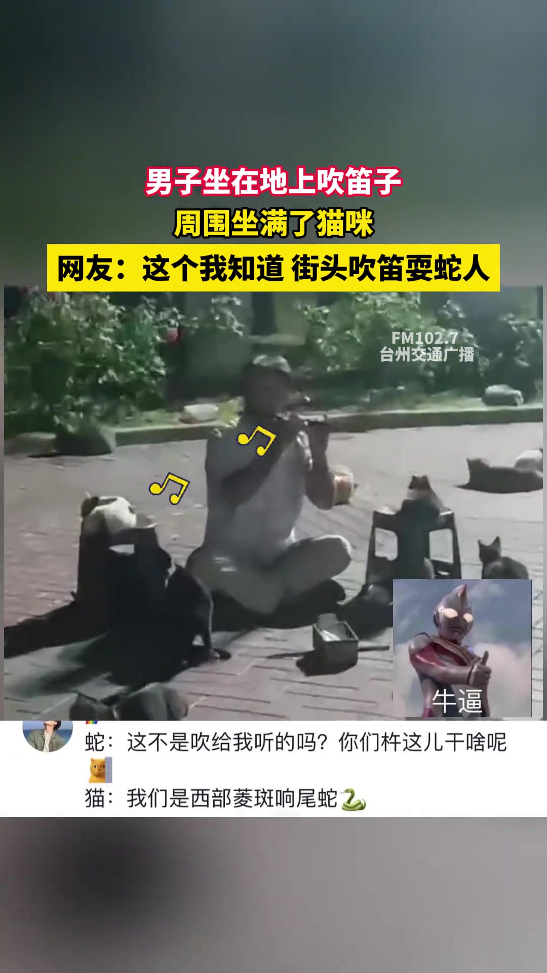 男子坐在地上吹笛子，周围坐满了猫咪