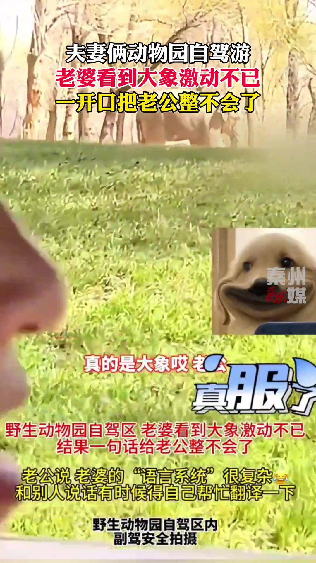 下次就反着说 肯定不会错！