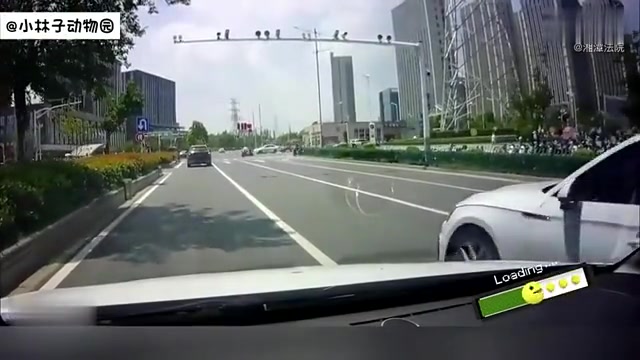 瞎开车