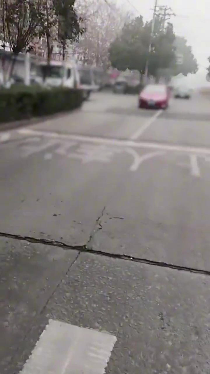 毛病！过马路就赶紧过还拍什么视频啊