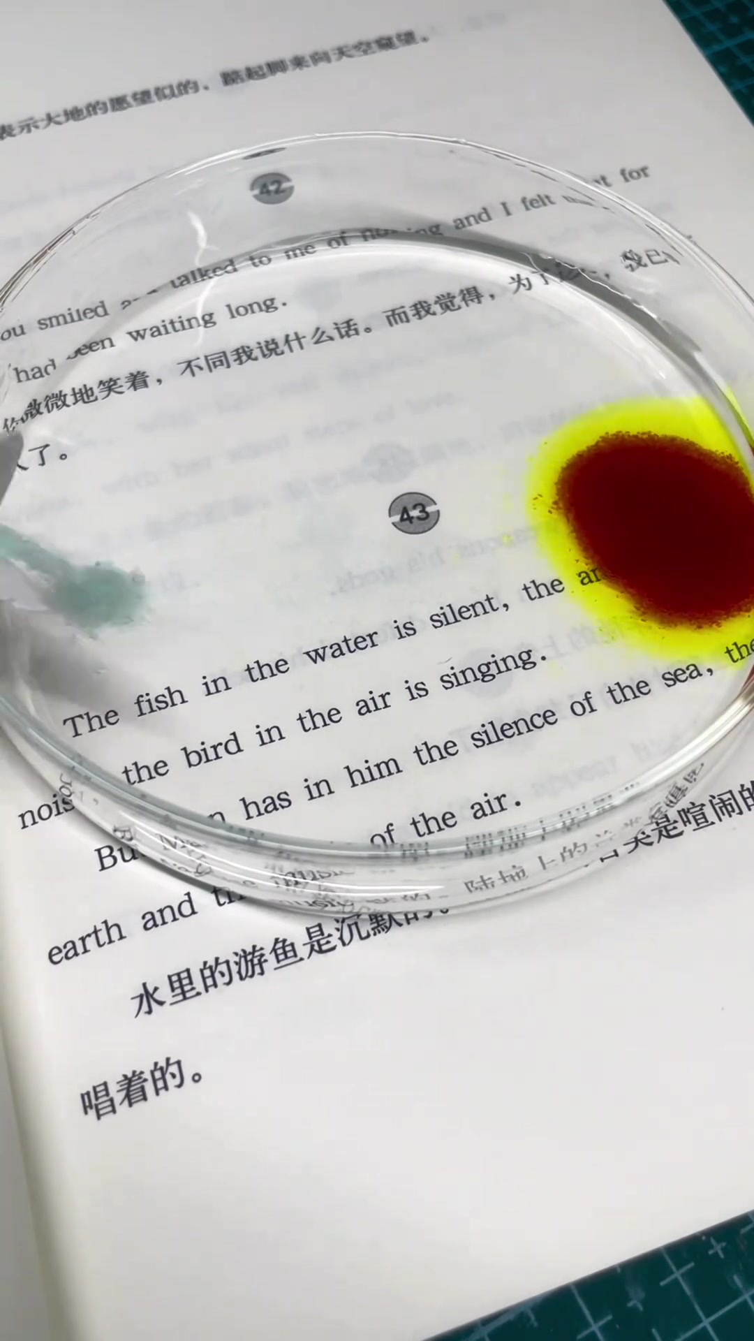 看吧，被绿之前是没有任何痕迹的！