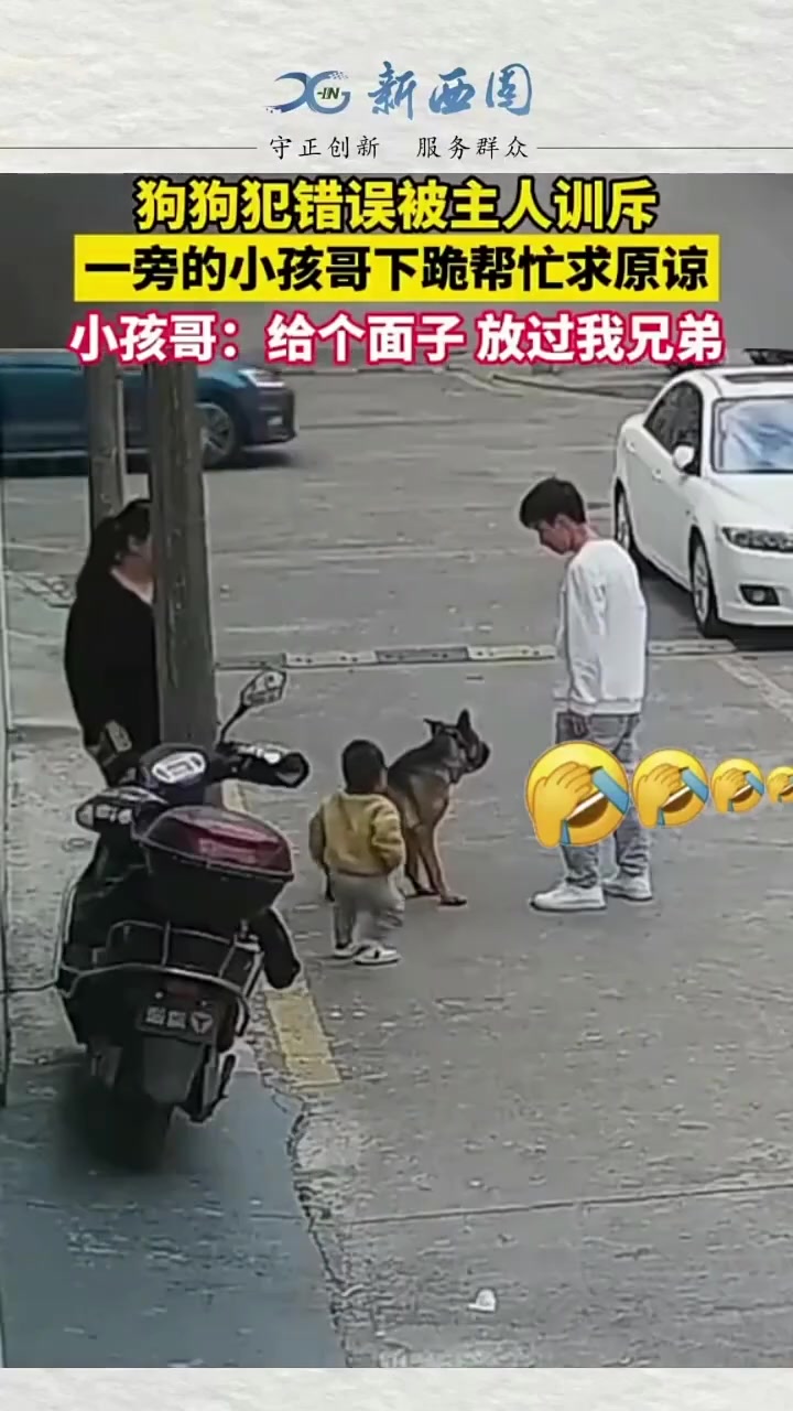 男子当街训斥乱跑狗狗，下秒萌娃跪地帮忙求原谅
