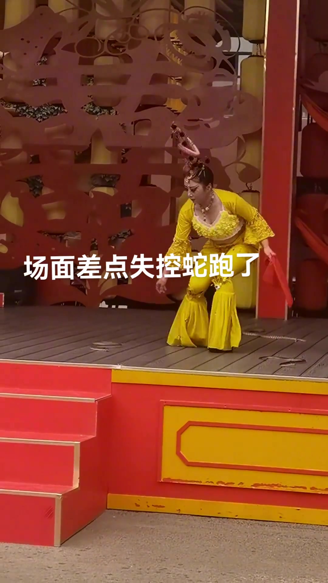 演出现场差点失控 蛇跑出来了吓人