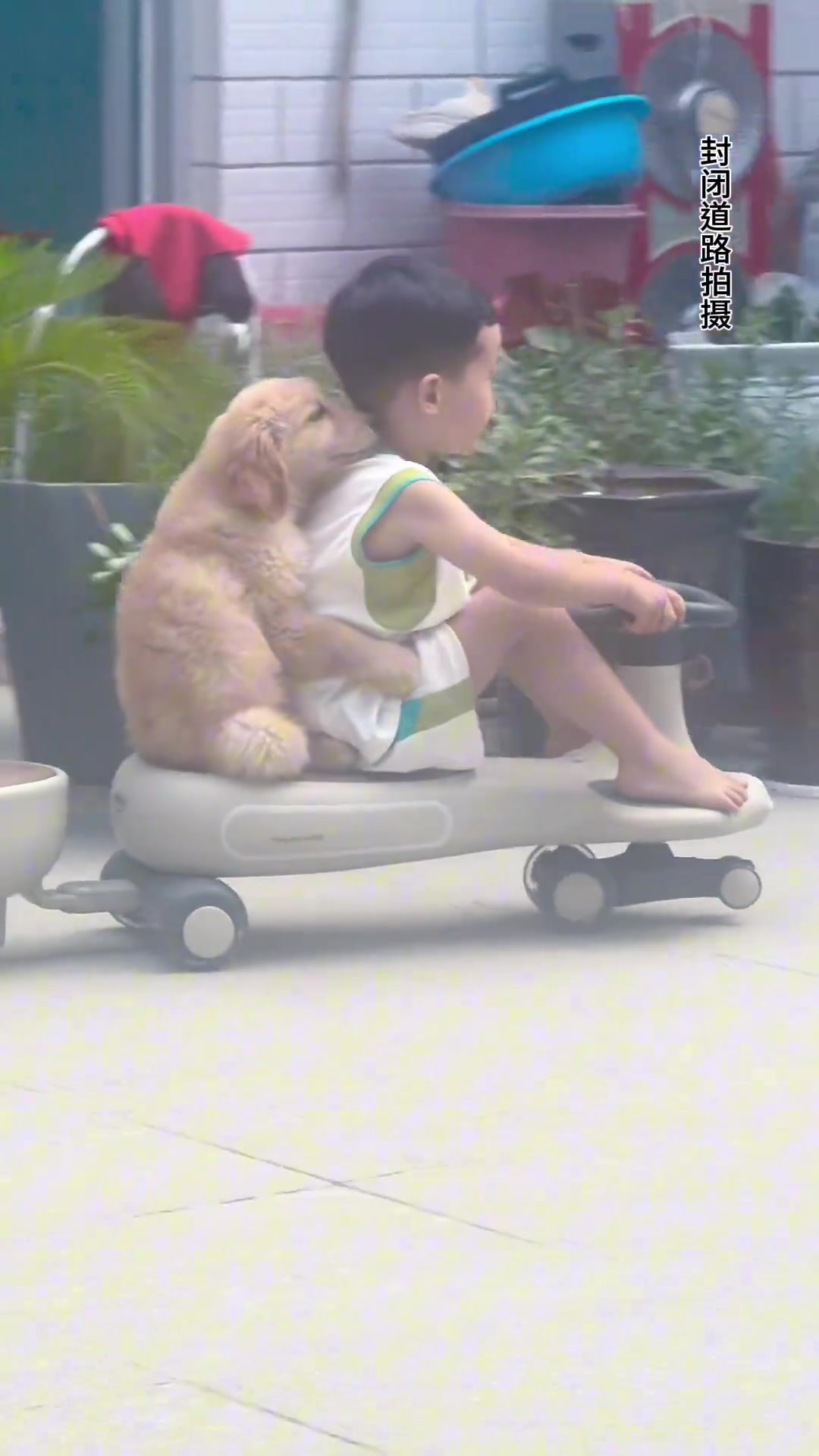 后面的乘客好乖哦