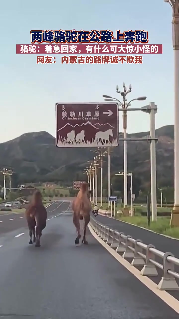 一看就知道今天是星期五