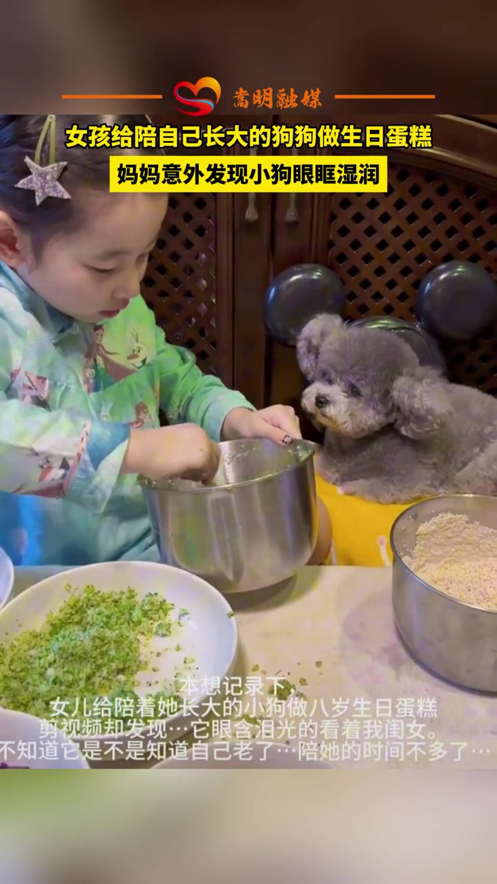女孩给狗狗做生日蛋糕，妈妈意外发现小狗眼眶湿润