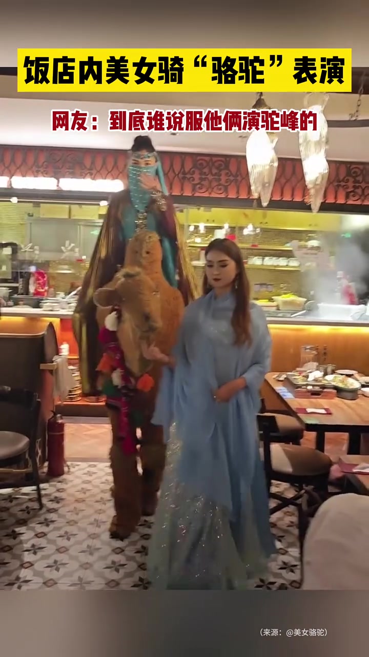 饭店内美女骑“骆驼”表演