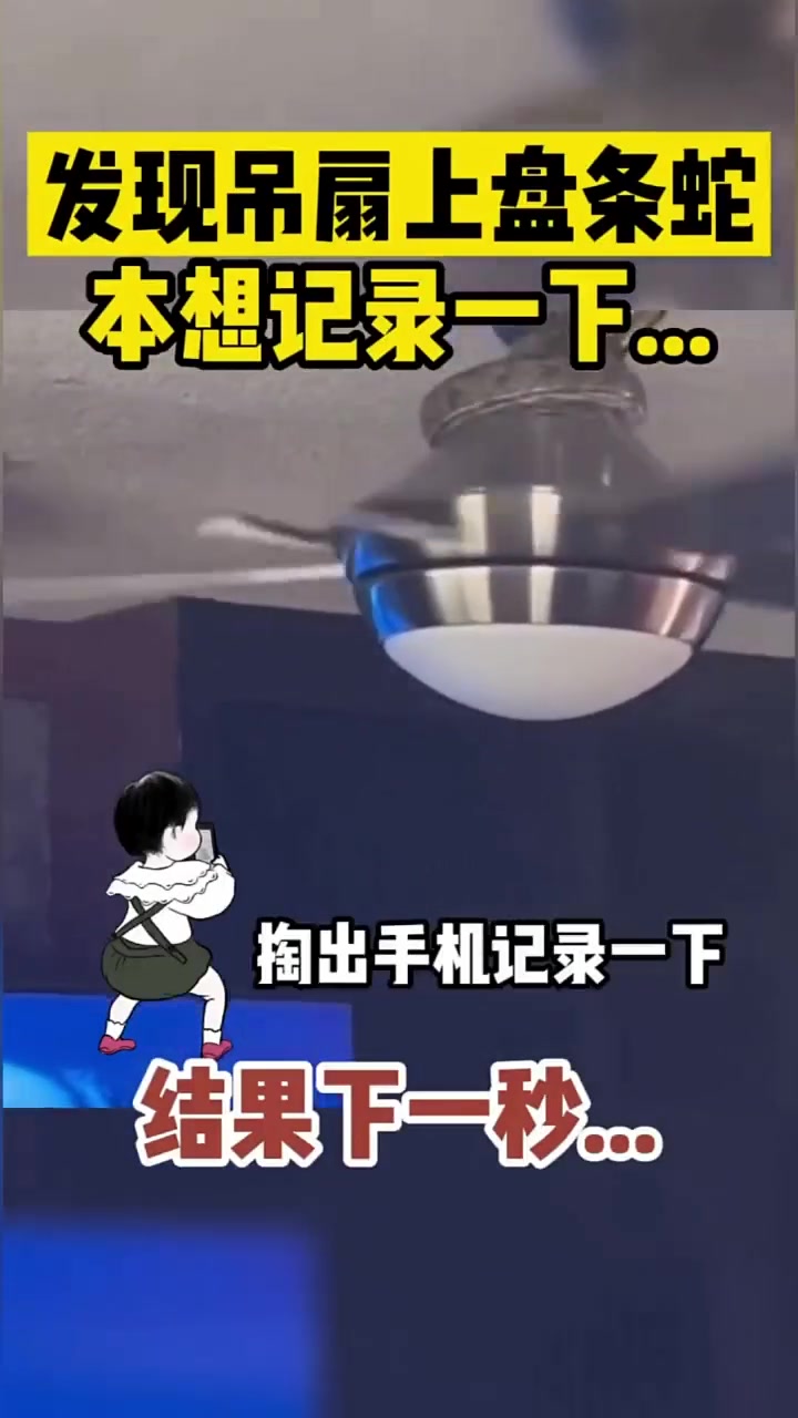 虽然猜到了结局，但还是被吓了一跳