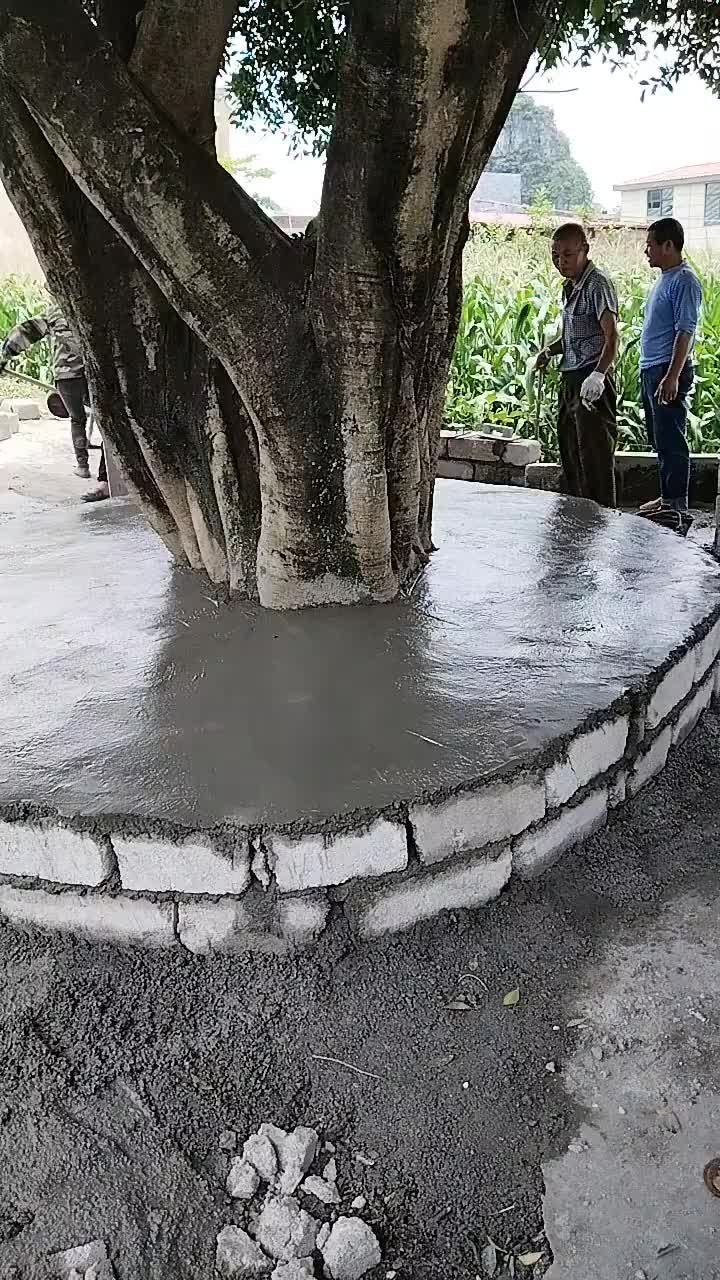 一个村子的人才，这是不给树活啊！