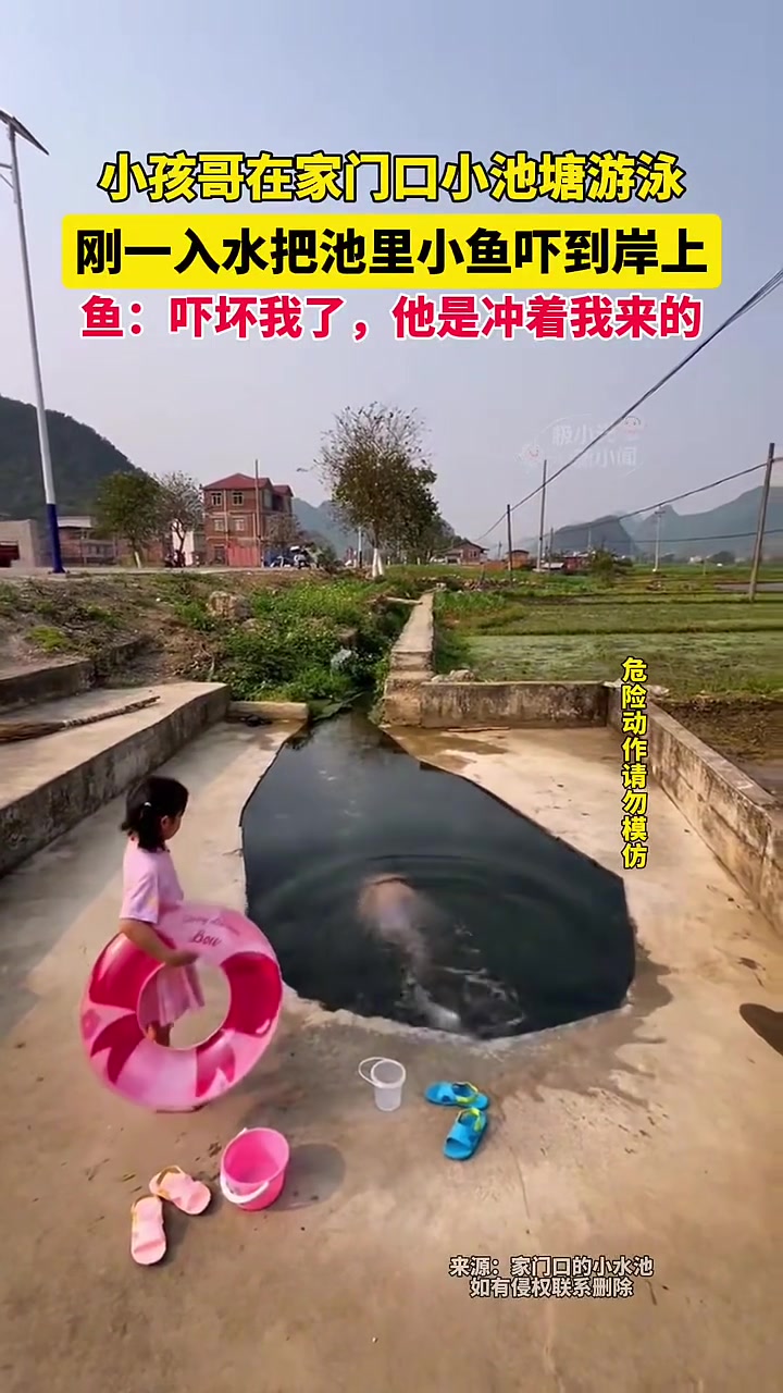 家门口有个水塘太幸福了吧！