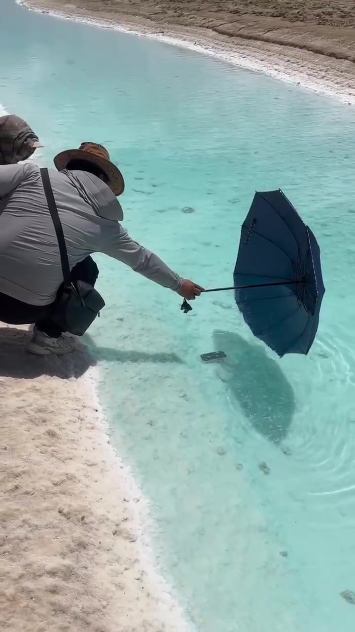 游客手机掉湖里了，据说是高浓度盐水，不敢直接下水捡