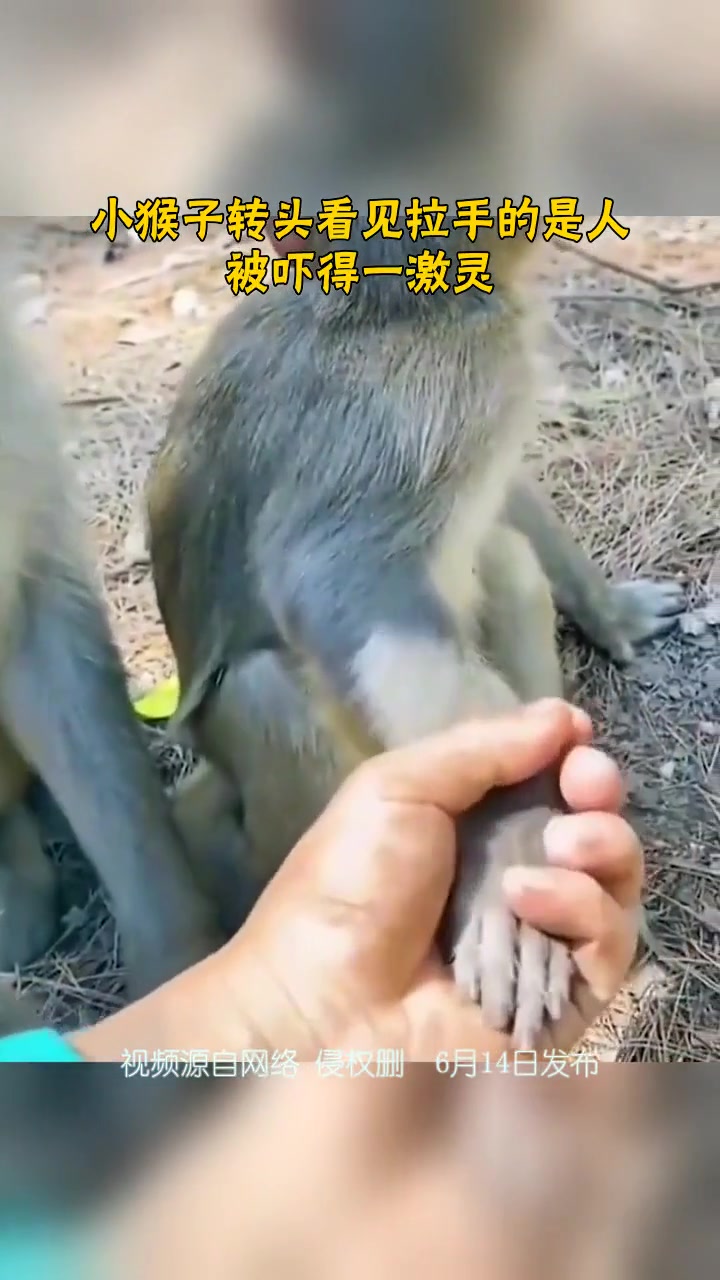 嗯？妈你怎么走？嗯？那谁牵着我呢