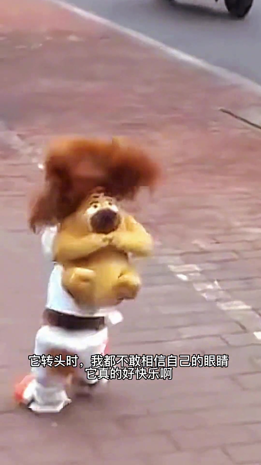 这狗怎么人模人样啊！它好快乐，好想送它去上学！