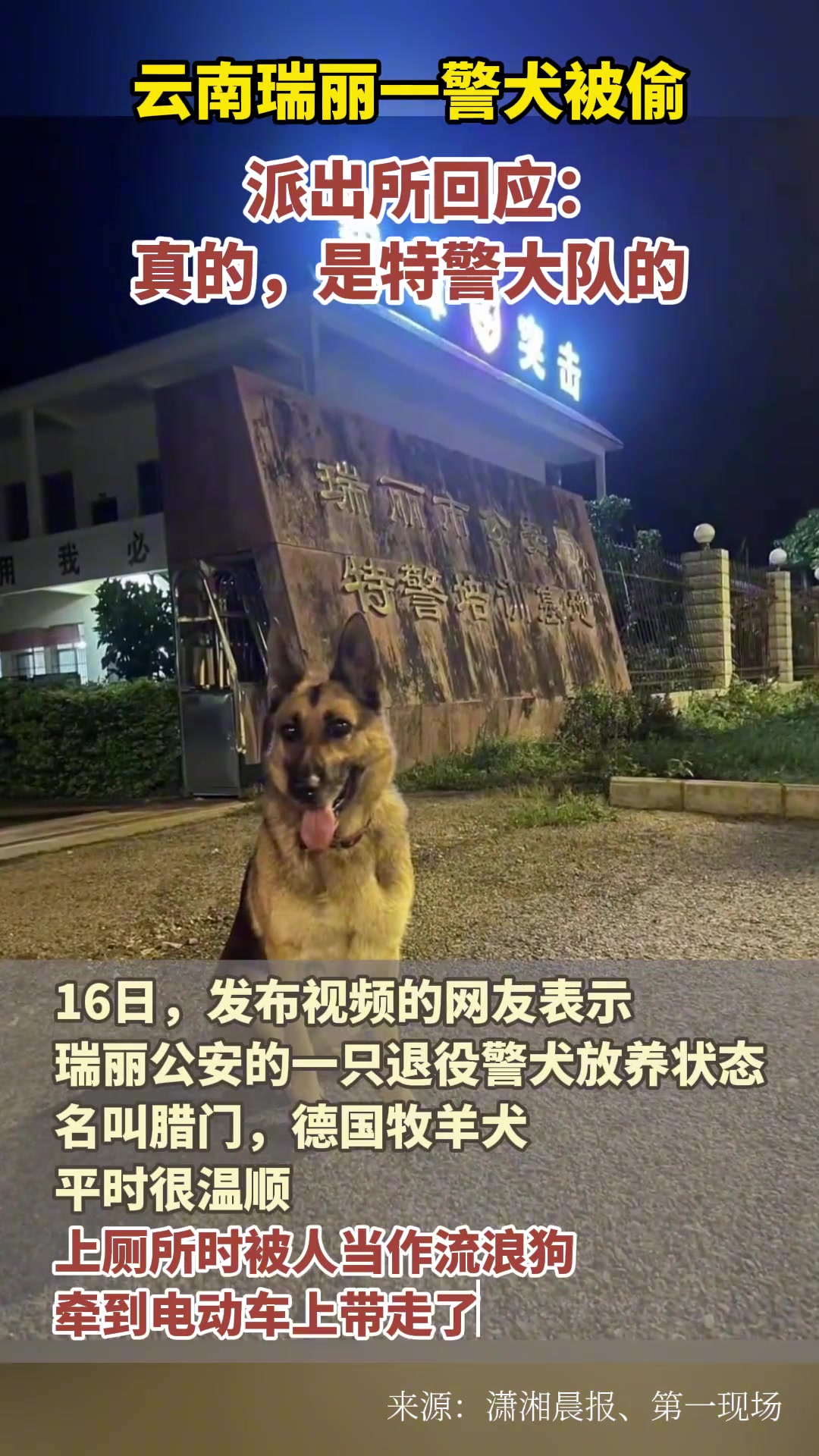 谁这么大胆？连警犬都敢偷