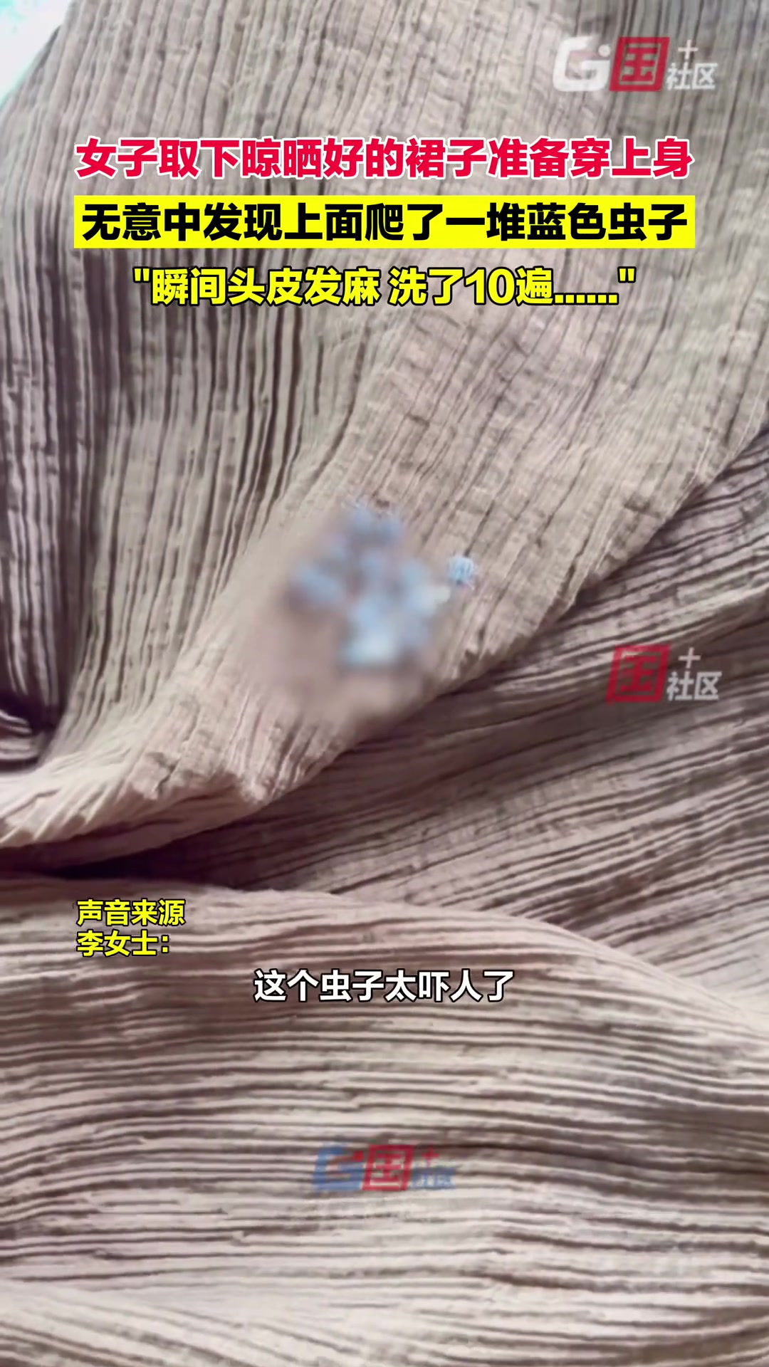 头皮发麻！女子穿上裙子 发现上面一堆蓝色虫子
