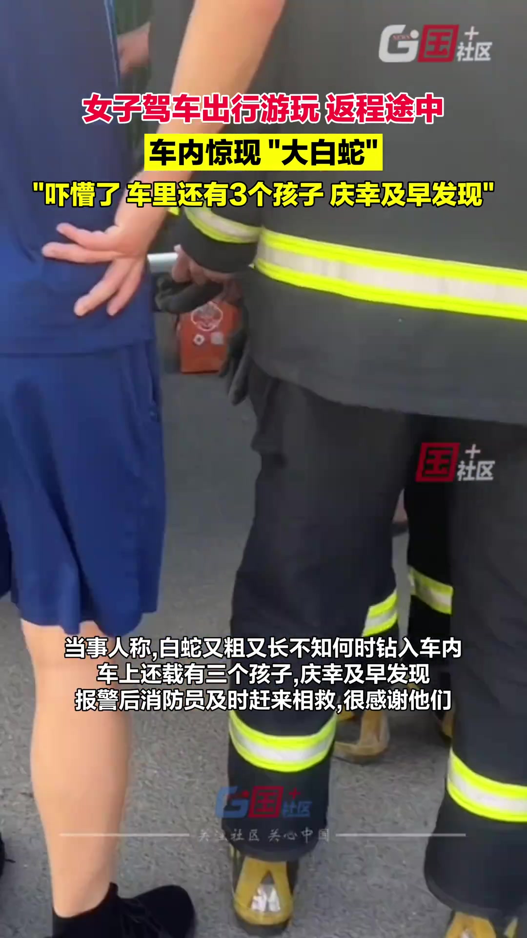 女子驾车带家人出行游玩 返程途中在车内发现“大蛇”
