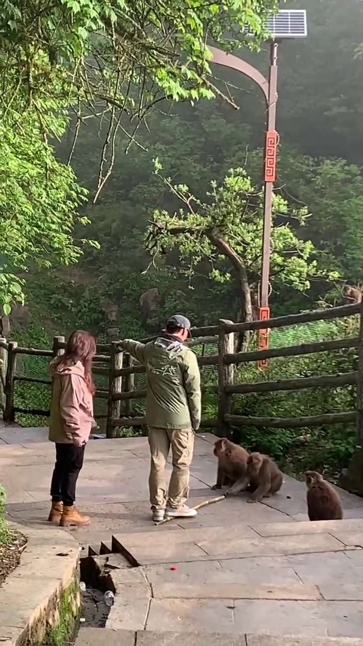 倒反天罡了，跟猴哥抢金箍棒啊