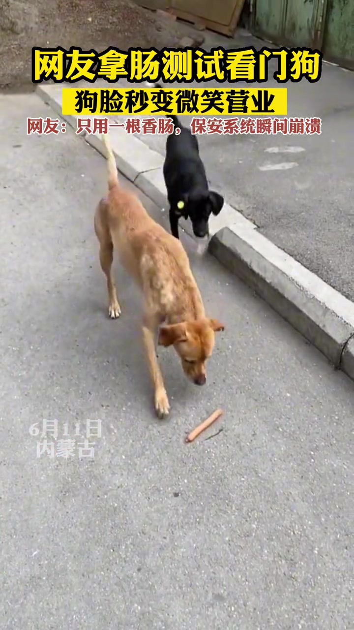 一根火腿肠就让安保系统瘫痪了