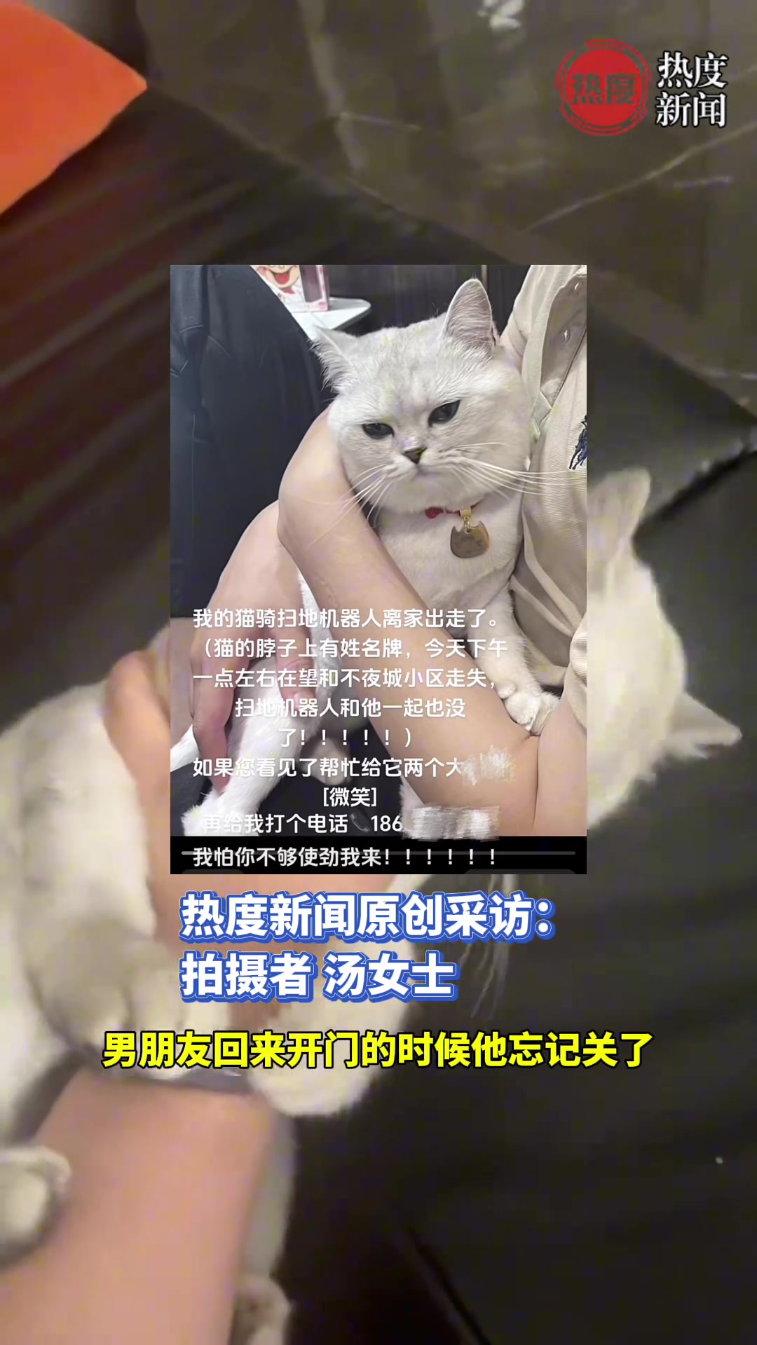 家门忘关猫咪和扫地机器人都跑了，结果猫回家了......