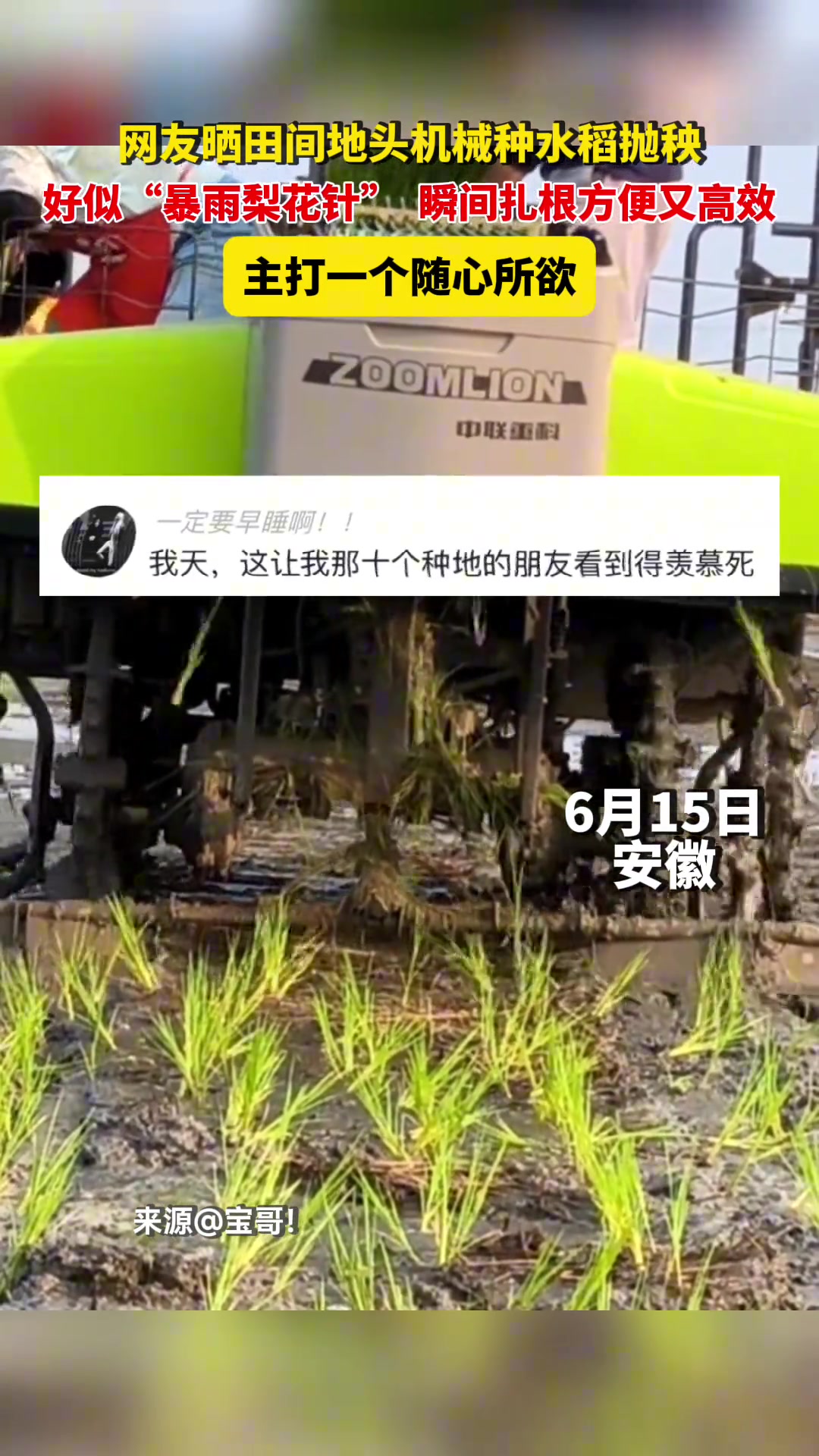 乱中有序，这个种植有点潦草