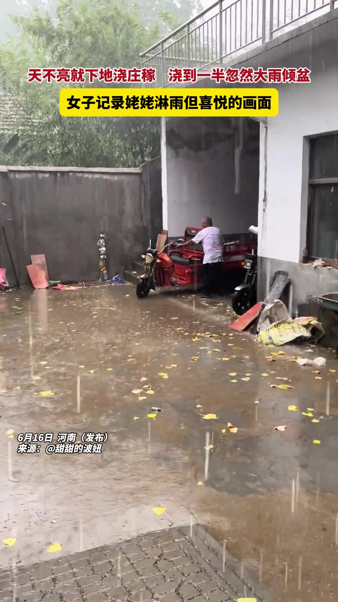 姥姥天不亮就下地浇庄稼，女子记录姥姥淋雨但开心时刻